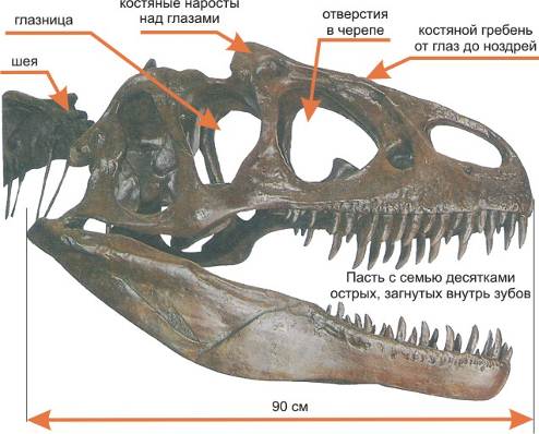 Описание: http://tak-to-ent.net/images/nach/image009.jpg