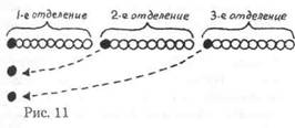 Первое отделение, за направляющим в колонну по одному — становись!